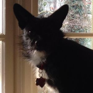 Meet your Posher, Patti